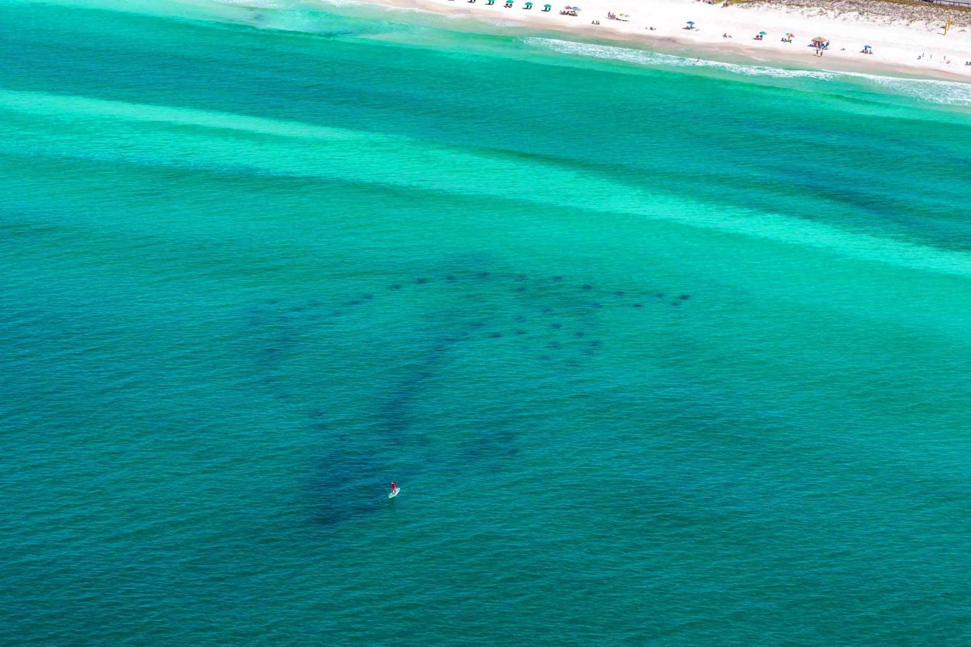 Ariel Dunes I 203 Destin Luaran gambar